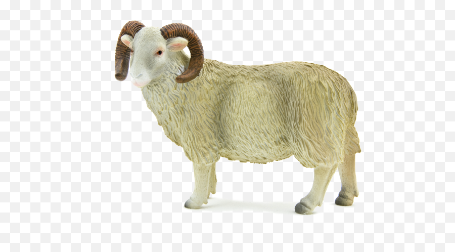 Animal Planet Sheep Ram - Elephanta Elephanta Emoji,Sheep Transparent