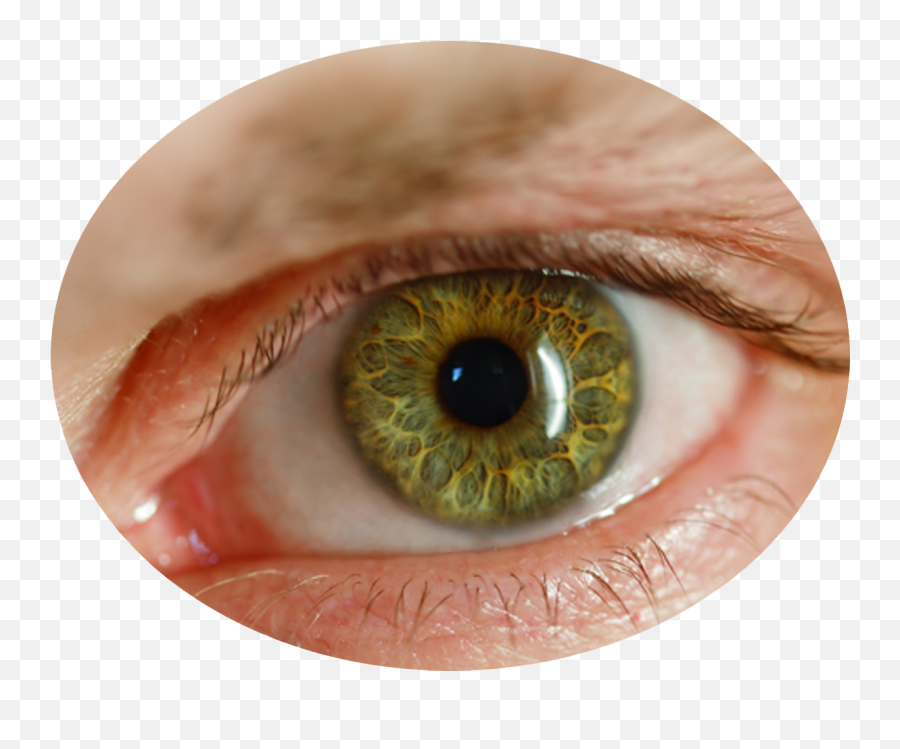Eye Png Image - Transparent Human Eye Png Emoji,Eye Png