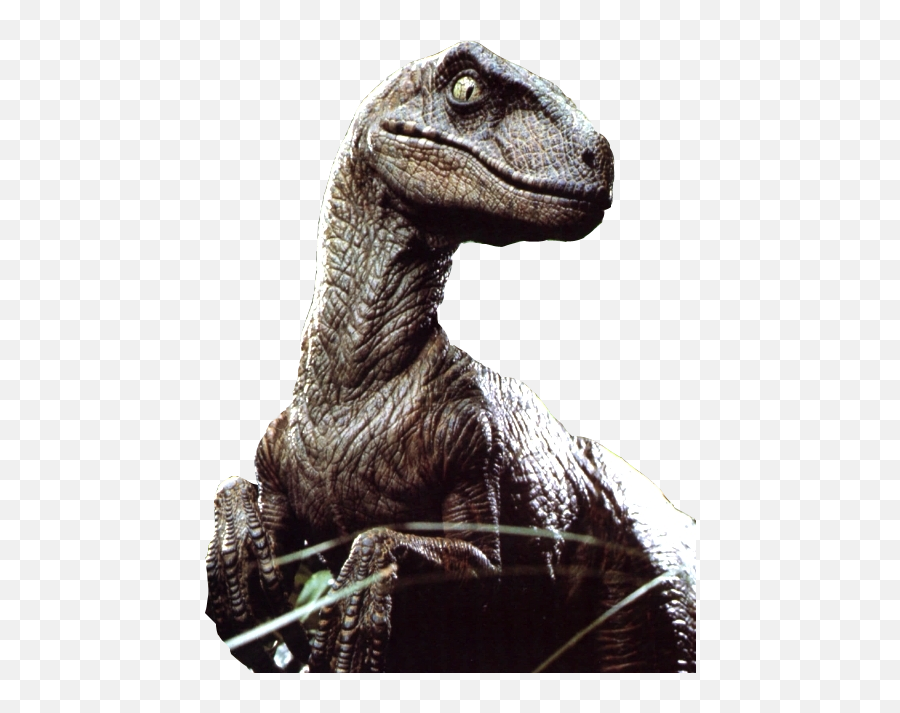 Velociraptor Png File Emoji,Velociraptor Png