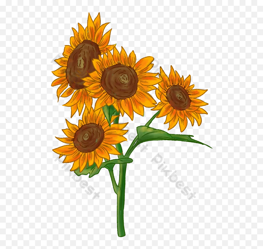 A Golden Sunflower Flower Png Transparent Png Images Psd - Fresh Emoji,Sunflowers Png