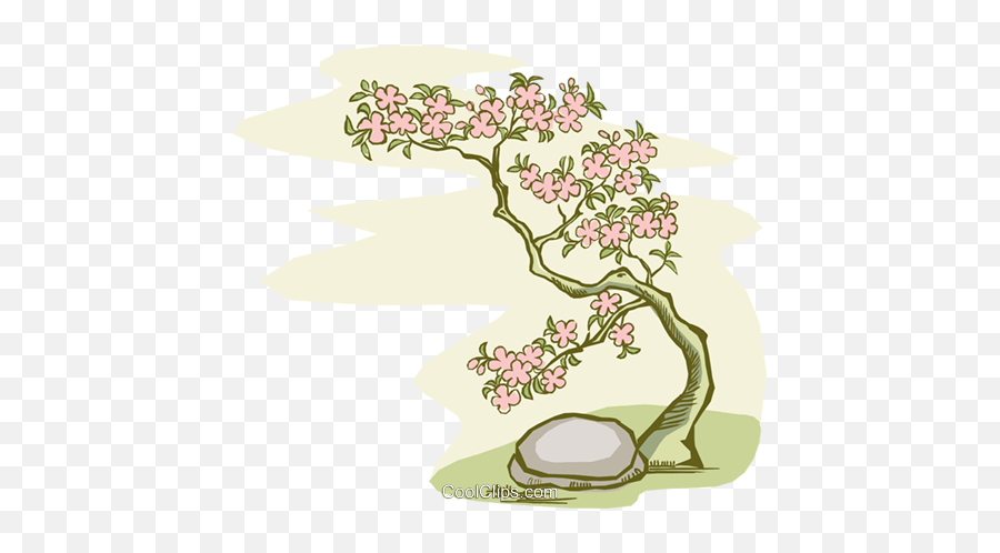Download Hd Bonsai Tree With Stone Royalty Free Vector Clip Emoji,Cherry Blossom Tree Clipart