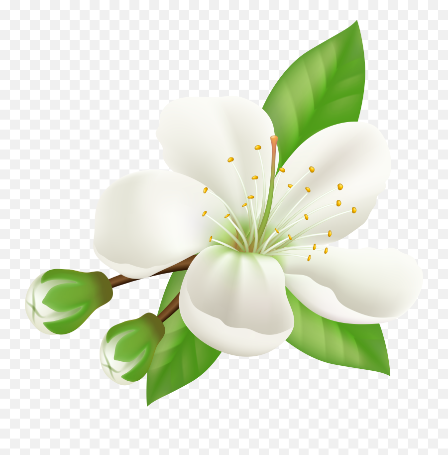 Cherry Blossom Petal Paper Pattern Emoji,Cherry Blossom Petals Png