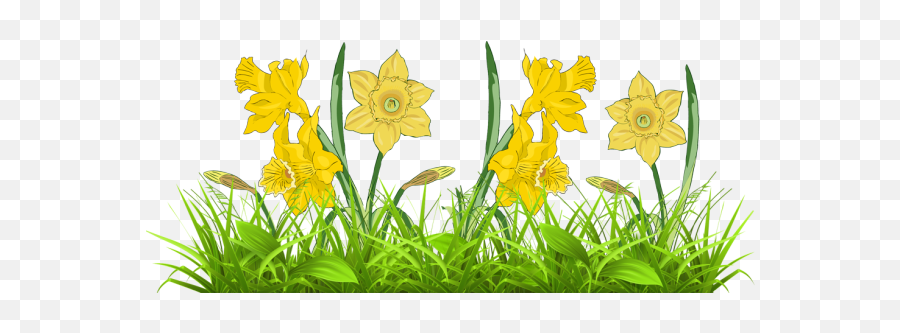 Daffodil Flower Free Clipart - Free Daffodil Clip Art Emoji,Daffodil Clipart