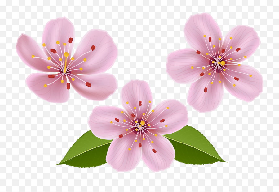 Watercolor Flowers Clipart Orchids - Spring Flower Clipart Transparent Background Emoji,Flowers Transparent