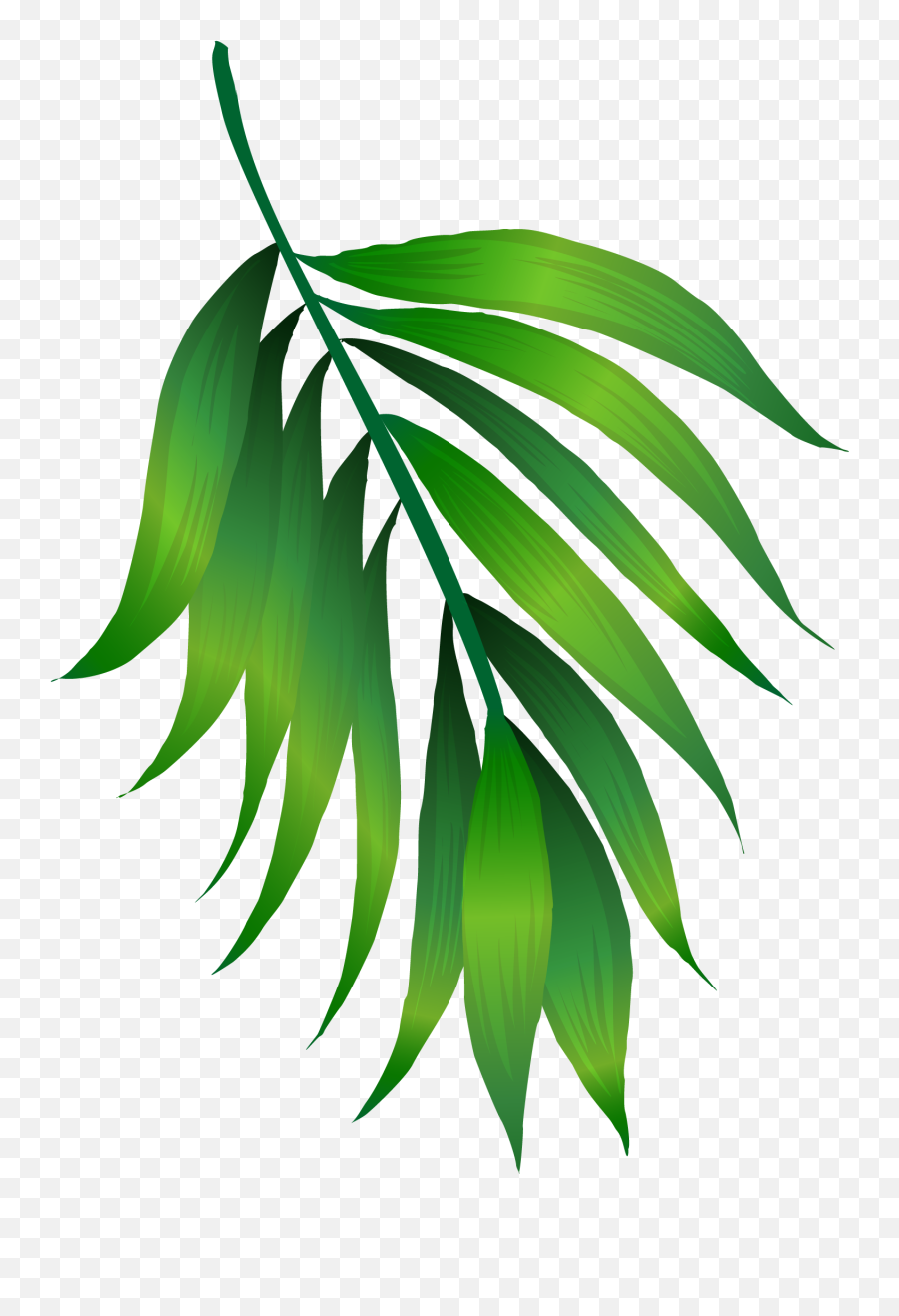 Green Leaf - Simple Green Leaf Png Emoji,Green Leaves Png