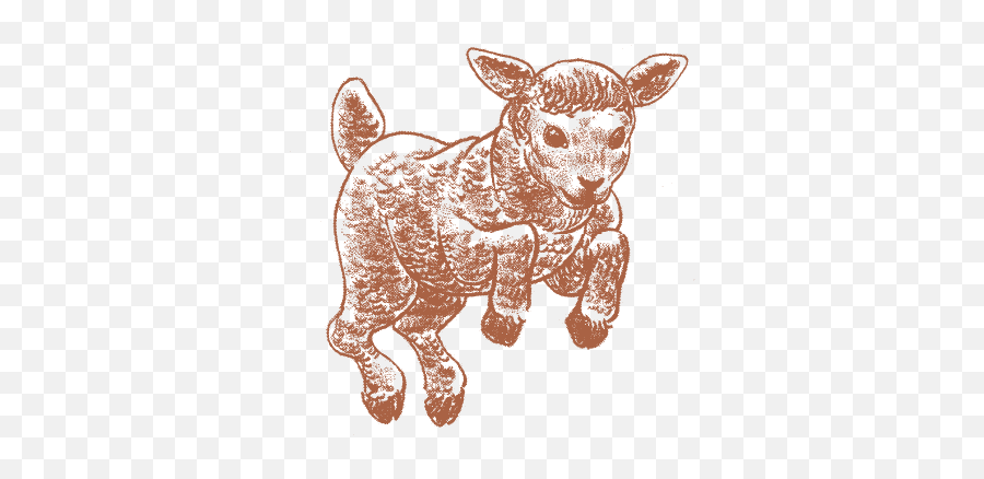 American Brasserie Restaurant In Boston Ma - Animal Figure Emoji,Lamb Logo