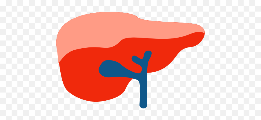 Liver Vector Icons Free Download In Svg - Drawing Emoji,Liver Png