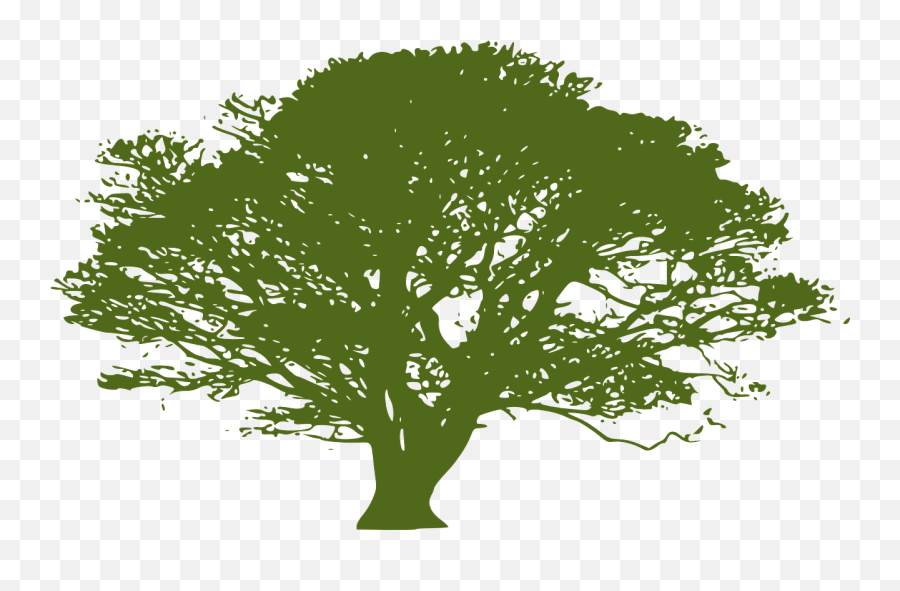 Treesilhouettecrownhugenature - Free Image From Needpixcom Red Tree Drawing Emoji,Trees Silhouette Png