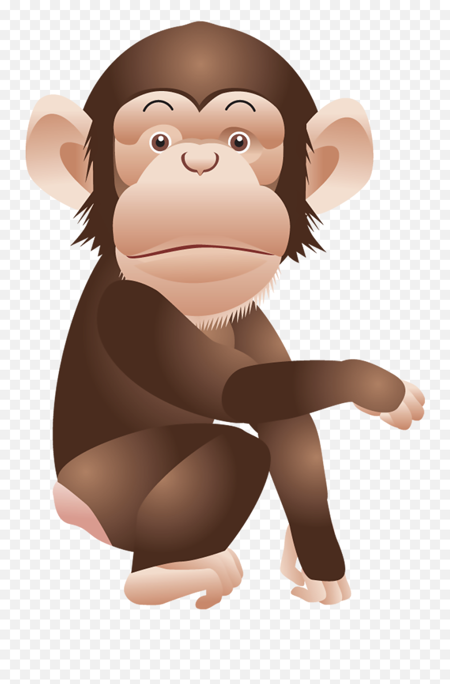 Monkey Png Transparent Background Image For Free Download 5 - Clipart Monkey Png Emoji,Monkey Transparent