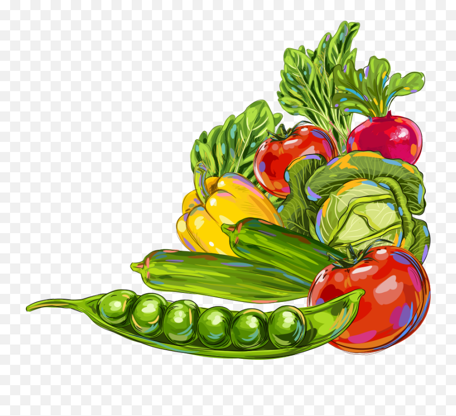 Vegetable Okra Fruit Illustration - Vegetables And Fruits Border Vegetables And Fruits Emoji,Fruits And Vegetables Clipart