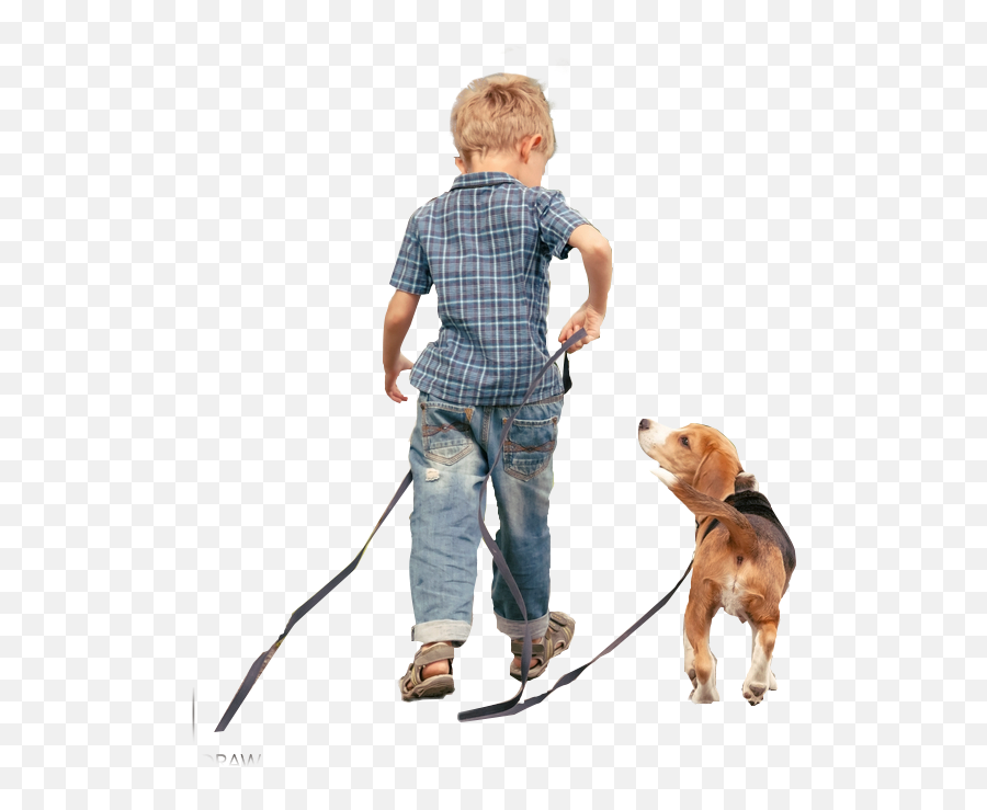 Boy Dog Pet Pets Sticker By Anamilena Emoji,People Walking Dog Png