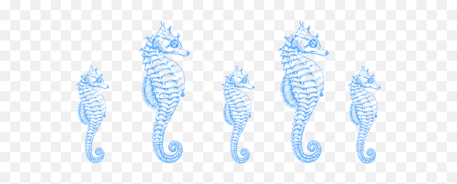 Seahorse Art Seahorse Border Clip Art - Vector Clip Art Seahorse Border Emoji,Seahorse Clipart