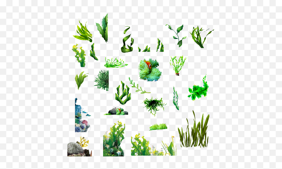 Download Seaweed Clipart Transparent - Natural Foods Emoji,Seaweed Clipart