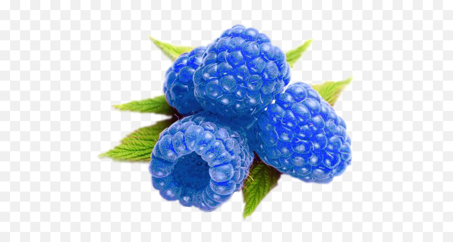 Raspberry Png - Raspberries Clipart Cute Blueberry Vs Blue Blue Raspberry Emoji,Blueberry Clipart