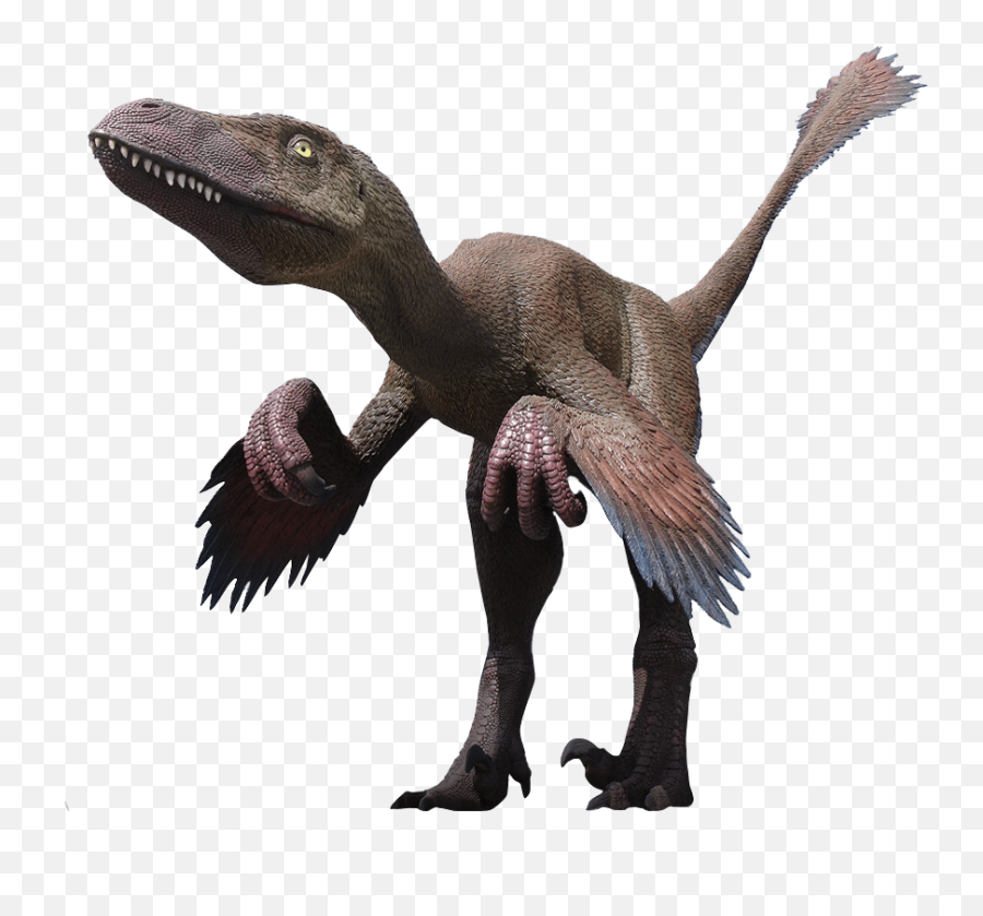 Velociraptor Png Clipart - Deinonychus Png Emoji,Velociraptor Png