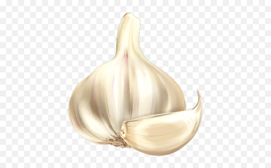 Free Transparent Garlic Png Download - Garlic Clipart Black Background Emoji,Garlic Png