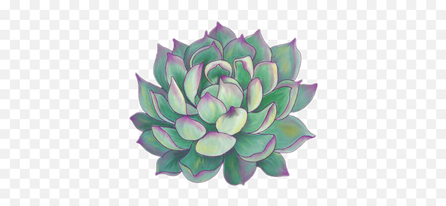 Interesting Aesthetic Aesthetics Sticker By - Aesthetic Tumblr Png Plants Emoji,Succulent Clipart