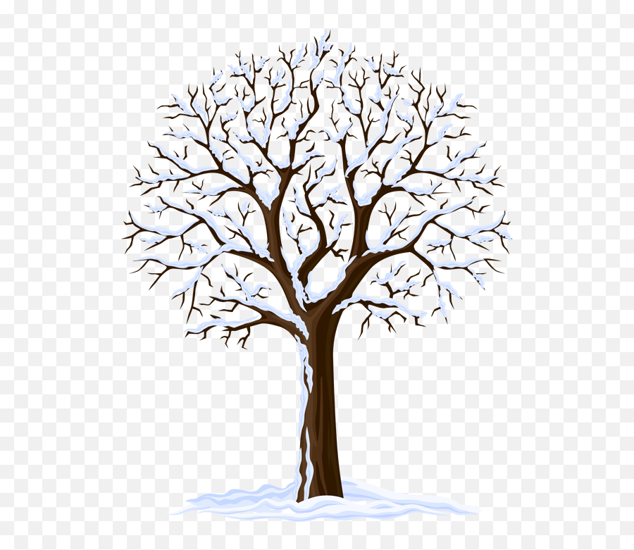 Winter Season Tree Clipart Transparent Cartoon - Jingfm Vector Winter Tree Png Emoji,Seasons Clipart