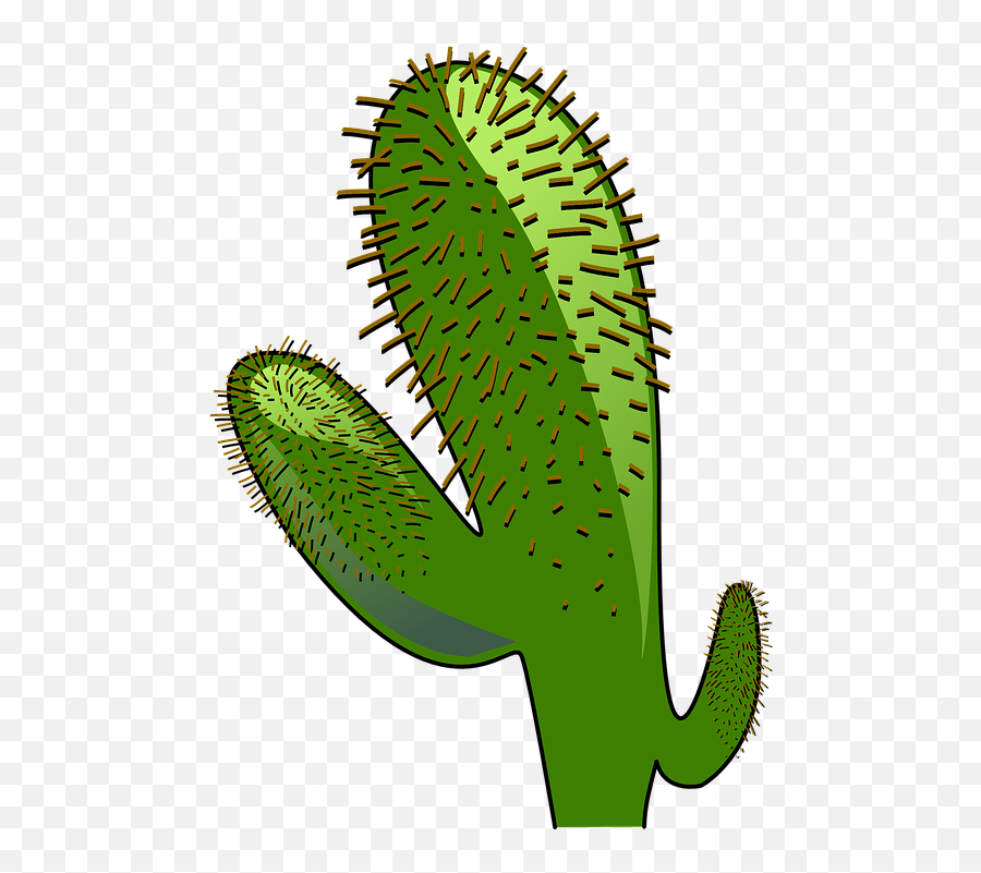 Cactus Landscape Dry - Free Vector Graphic On Pixabay Transparent Animated Cactus Inpot Emoji,Dry Clipart
