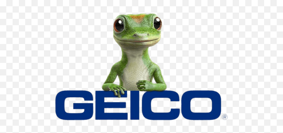 Geico Logo With Gecko Transparent Png - Geico Car Insurance Emoji,Geico Logo