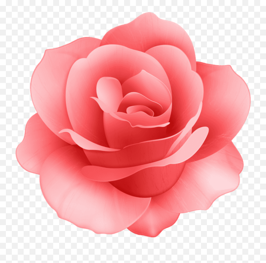 Download Free Png Red Rose Flower Png Images Transparent Emoji,Red Rose Transparent