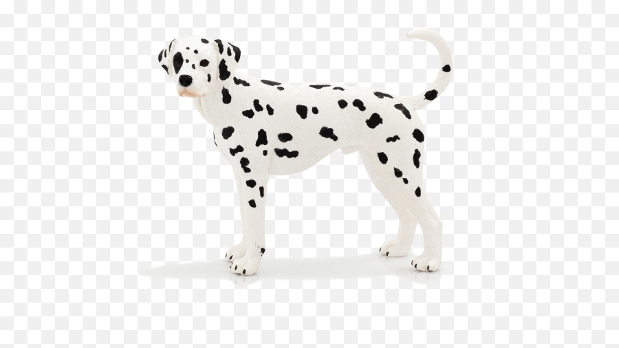 Download Mojo Animal Planet Dogs Png Image With No Emoji,Animal Planet Logo Png