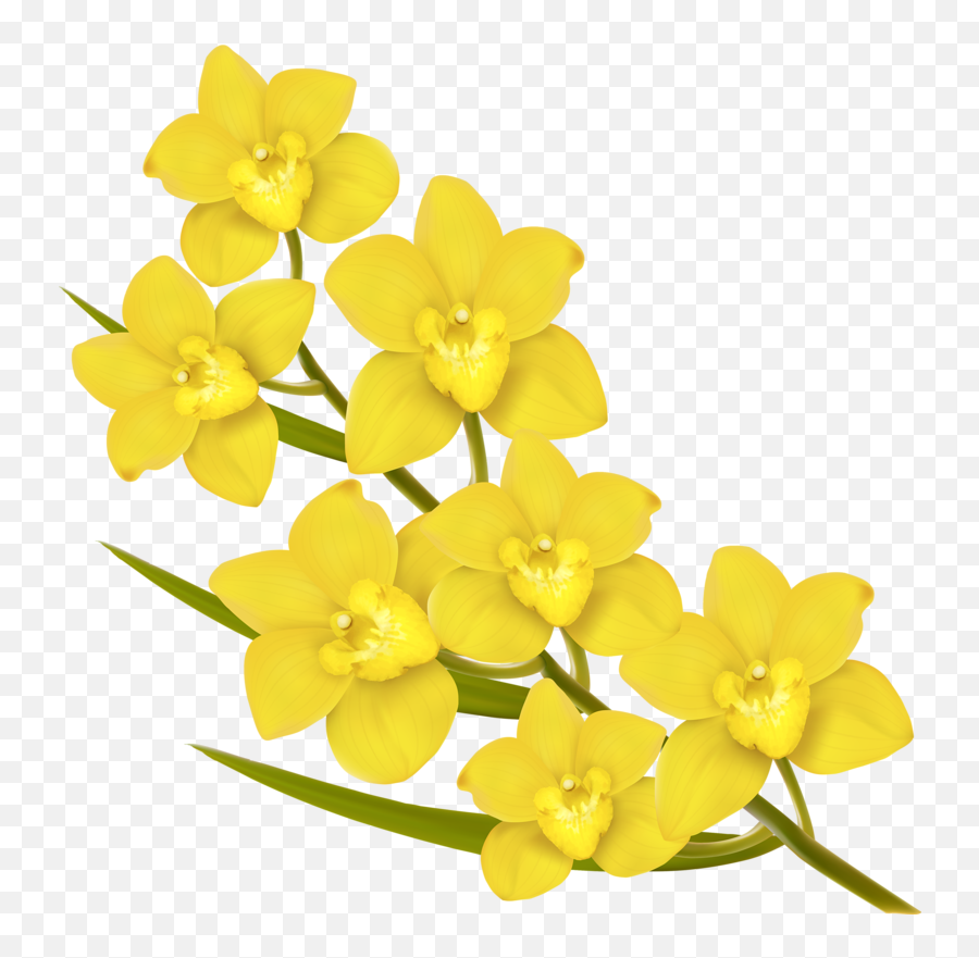 Flower Euclidean Vector Royalty - Free Yellow Six Yellow Emoji,Yellow Flowers Png