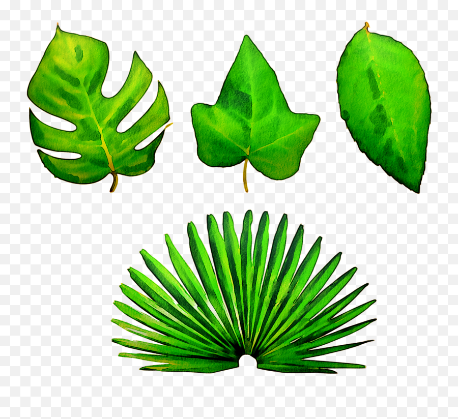 Watercolor Leaves Green Leaf - Png Emoji,Watercolor Leaves Png