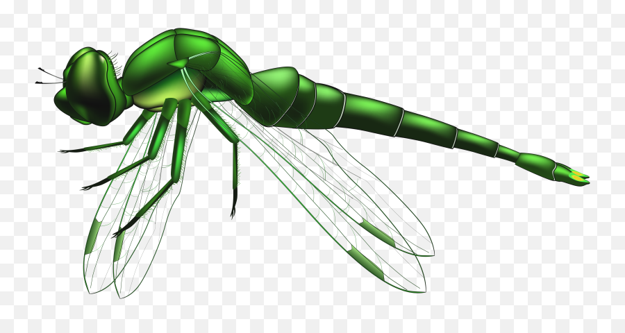 Library Of Green Dragon Fly Jpg Library - Green Dragonfly Clipart Emoji,Fly Clipart