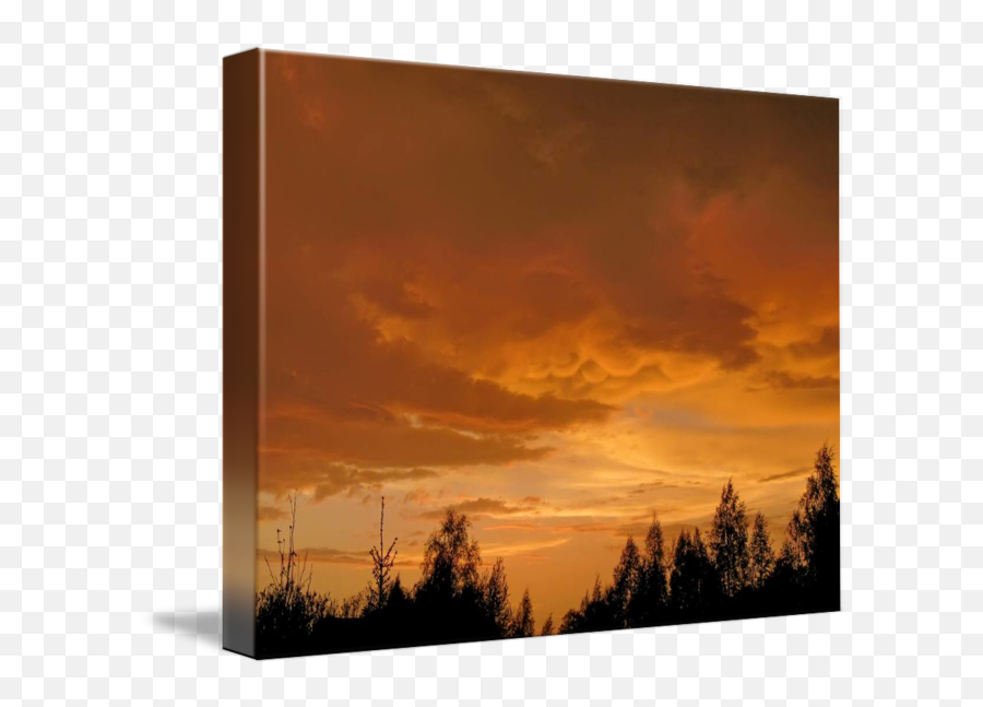 Orange Sunset Sky By Andrew Shachnev Emoji,Sunset Sky Png