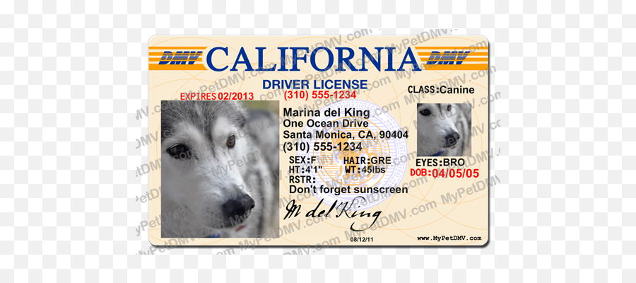 California Pet Id License Emoji,Ca Dmv Logo