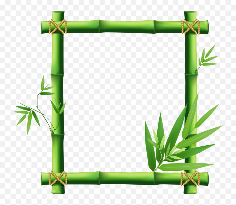 Bamboo Vector Png - Bamboo Border Clipart Png Emoji,Bamboo Clipart