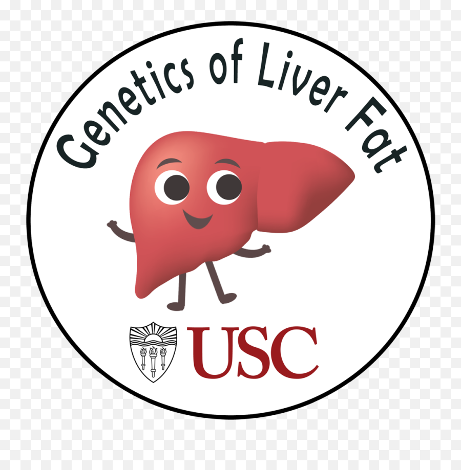 Usc Genetics Of Liver Fat - Usc Shield Emoji,Liver Png