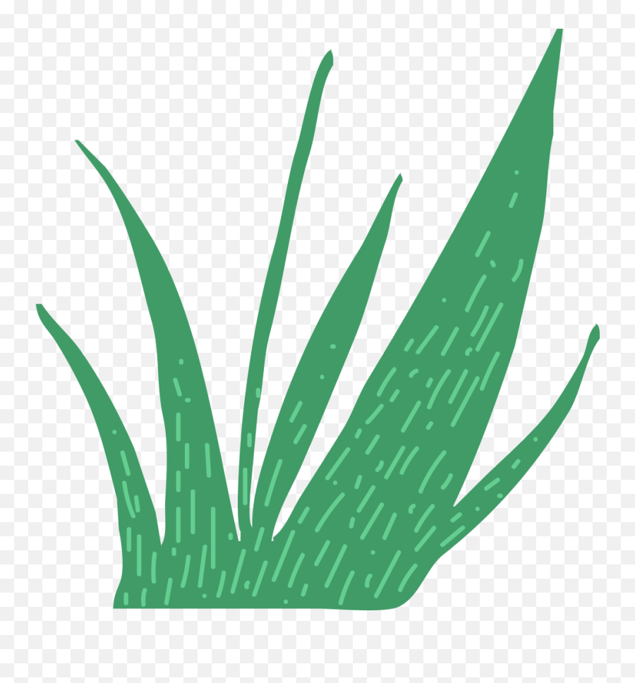 This Is A Sticker Of Grass - Agave Azul Clipart Full Size Emoji,Thistle Clipart