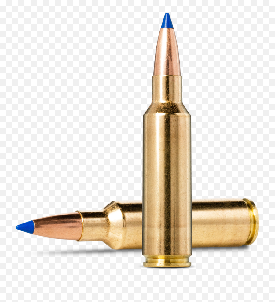 Norma Bondstrike Extreme 300 Winchester Short Magnum 180gr Emoji,Bullet Hole Metal Png
