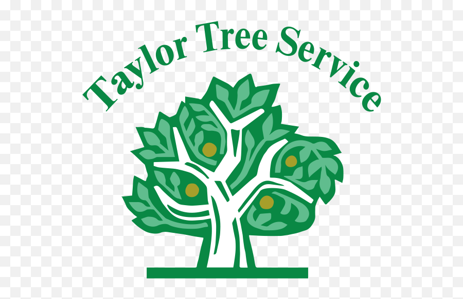 Taylor Tree Service - People Say Walking On Water Is Miracle Emoji,Family Tree With People Clipart