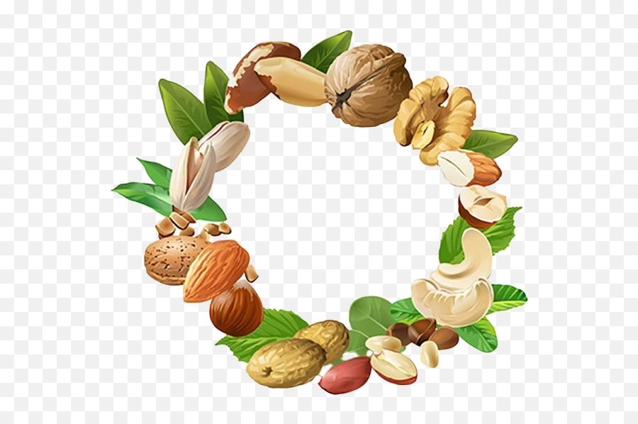 Nuts Png Transparent Images Png All Emoji,Nuts Clipart