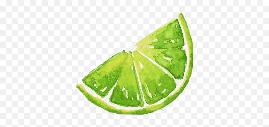 Lime Limes Limeaesthetic Sticker By Nhu Emoji,Lime Transparent Background