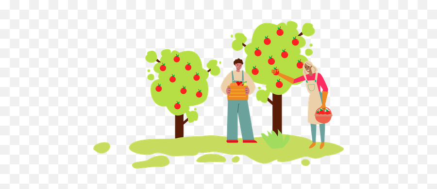 Best Premium Man And Woman Collecting Apples From Tree Emoji,Picking Apples Clipart