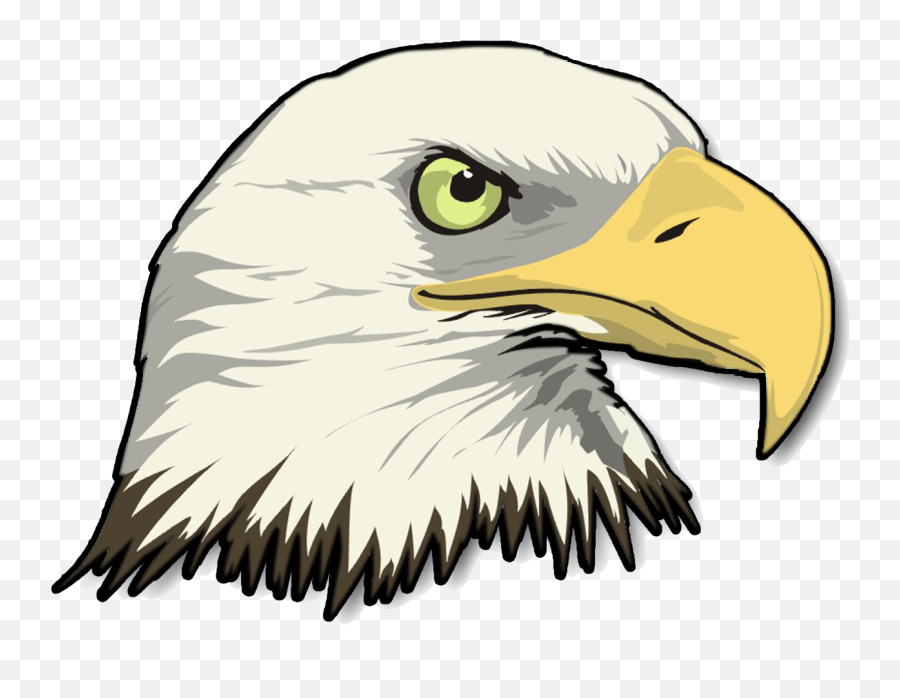Eagle Cartoon Png Clip Art Library Download - Cartoon Bald Bald Eagle Clipart Emoji,Bald Eagle Clipart