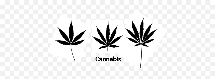Drawn Leaves Transparent - 5 Point Marijuana Leaf Full Medical Marijuana Emoji,Marijuana Leaf Png