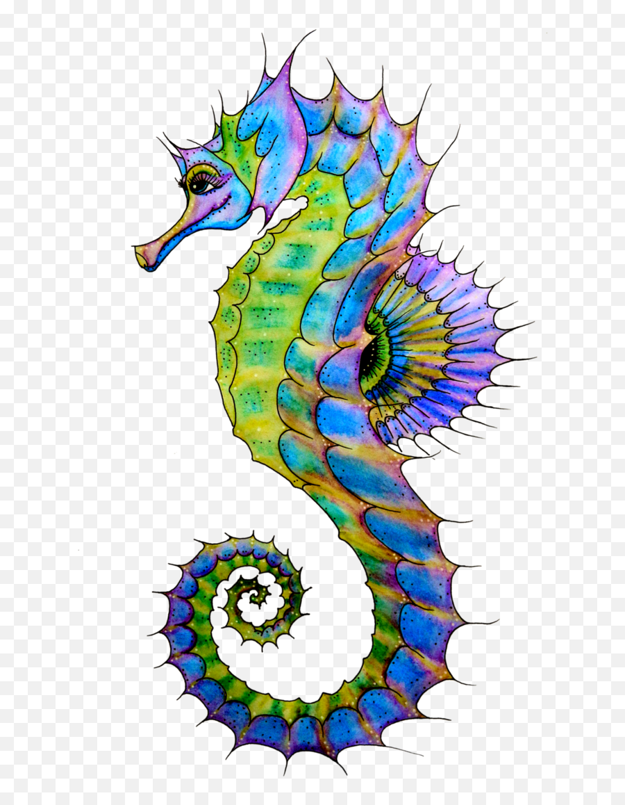 Seahorse Art - Clipart Best Seahorse Art Starfish Sea Horse Png Emoji,Starfish Clipart