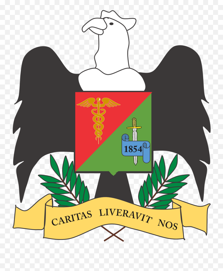 Escudo Regional Junín - Escudo Region Junin Emoji,Escudo Png