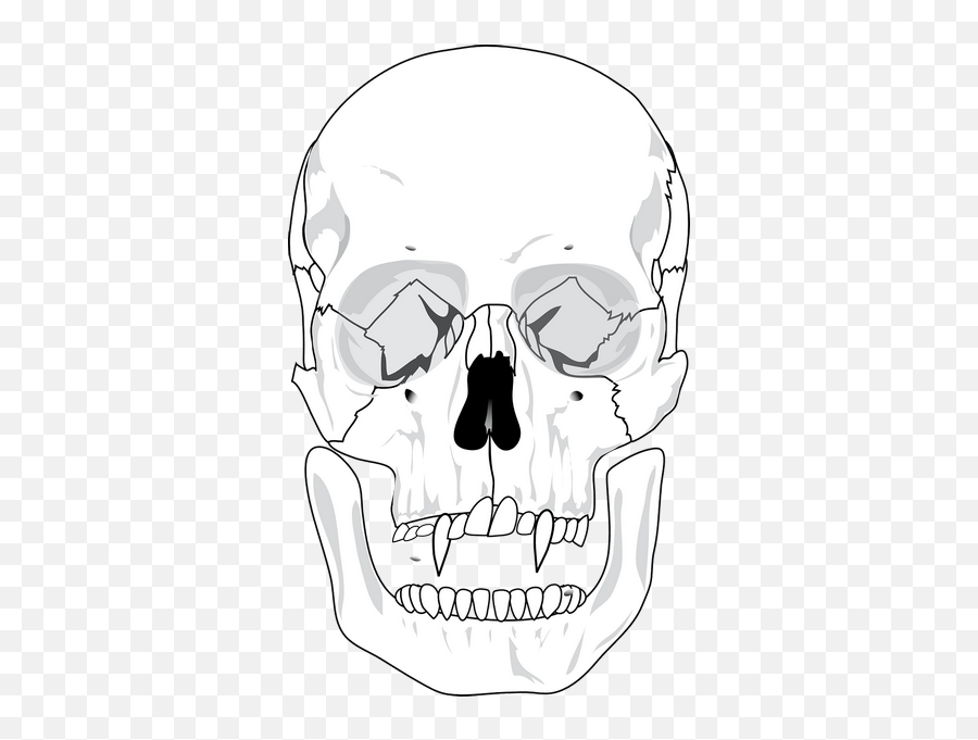 Evil Skull Devil Teeth Skeleton Transparent Png Images Emoji,Skeleton Transparent