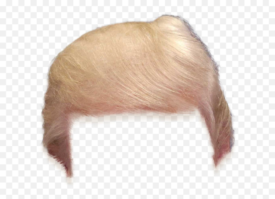 Trump Archives - The Travelinu0027 Librarian Trump Hair Cutout Emoji,Donald Trump Transparent