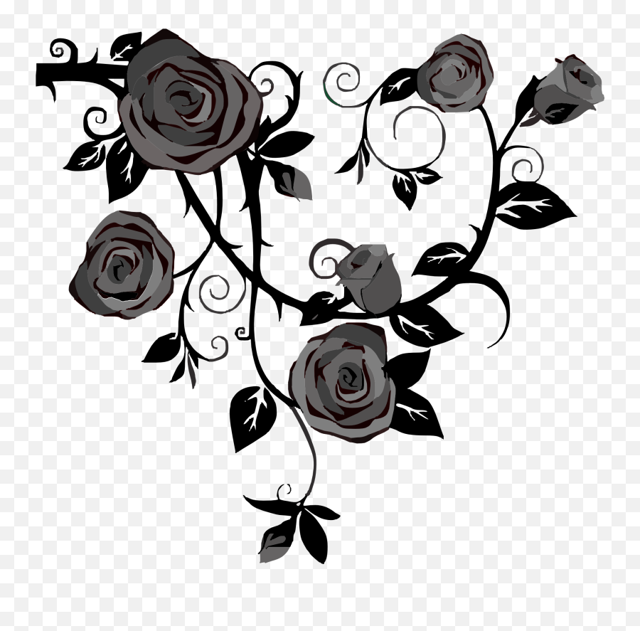 Download Hd Rose Vine Drawing Thorns Transparent Png Image - Black Roses Line Art Emoji,Thorns Png