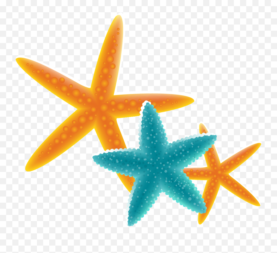 Starfish Free Content Clip Art - Starfish Png Download Star Fish Vector Png Emoji,Starfish Clipart