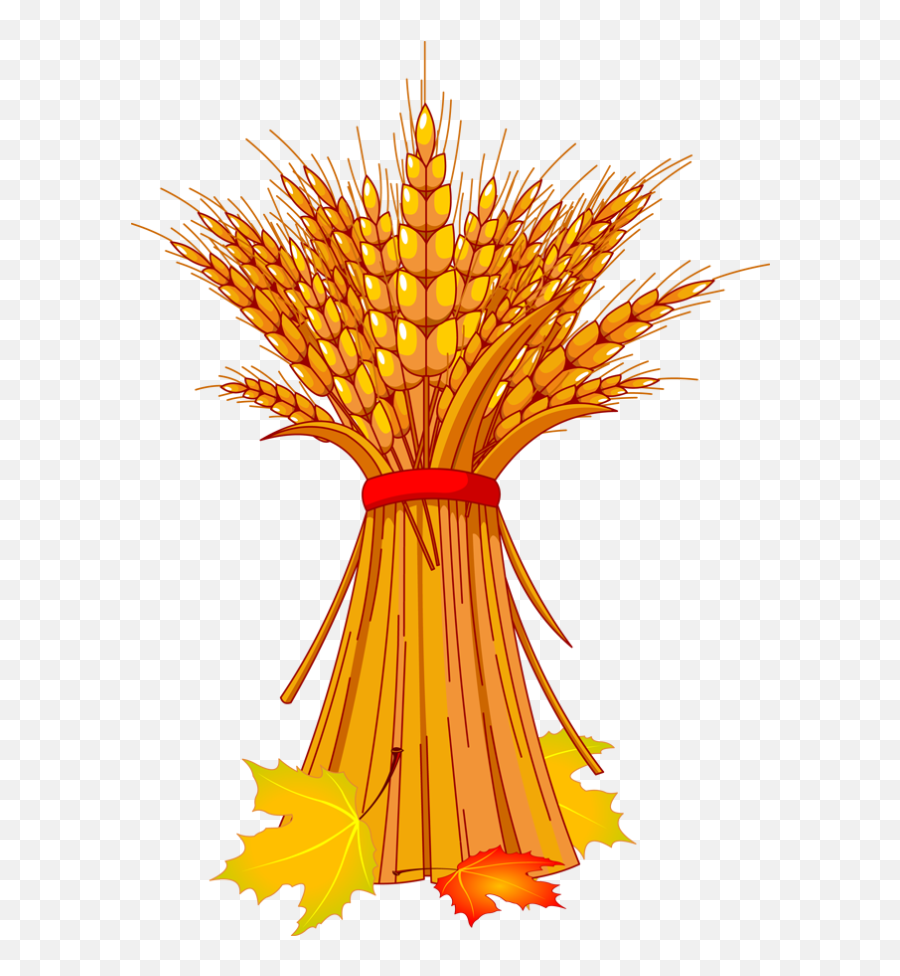 Wheat Icon Png - Harvest Clipart Emoji,Grain Clipart