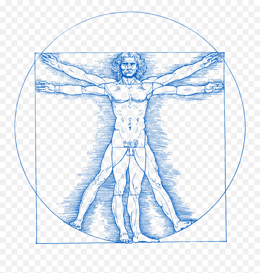 Vitruvian Man Png - Depression Anxiety Leonardo Da Vinci Leonardo Da Vinci Vitruvian Man Png Emoji,Man Png