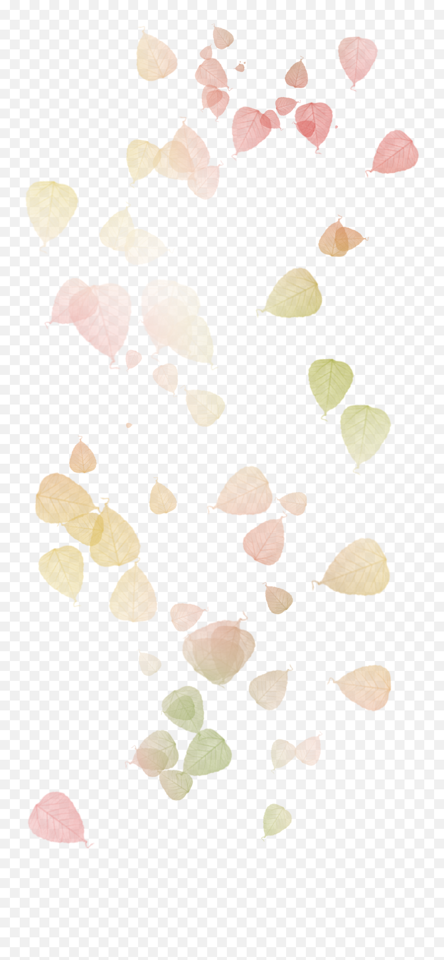 Watercolor Wallpaper Iphone - 15 Anos De Cadado Emoji,Watercolor Leaves Png